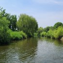 수원팔색길 도란길 이미지