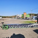 하귤과보리 이미지