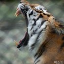 미소드림치과의원 | 강남 치과 미소드림치과의원 편안한 치료 경험