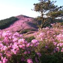 봉화산 Daum카페