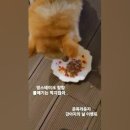 준독라운지 이미지