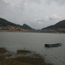 조도해풍쑥