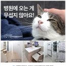 별내동물병원 이미지