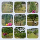 수목장 | 대구수목장 어디가 좋을까? 직접 다녀온 대구신세계공원묘원 수목장 비교 후기