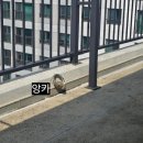 집현동_새나루마을2단지 입구 | 세종실리콘코킹 작업후기 - 집현동 새나루마을2단지 외벽크랙 보수