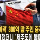 '성범죄 이력' 300억 땅 주인 중국인 거물…입국 불허했더니 "제주도에 불이익" 주장 이미지
