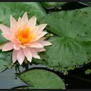 구성도서관 이미지