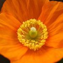 상록세탁소 이미지