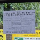 빛가람윤김밥 | 반건조오징어된 새똥이의 8월 일기(1)