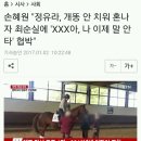 손혜원 "정유라, 개똥 안 치워 혼나자 최순실에 'XXX아, 나 이제 말 안타' 협박" 이미지