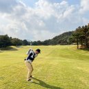 정용진 스포츠선글라스 골프선글라스 &#34;이리지스&#34;