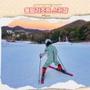 거열빌라 가는도로 | 용평스키장 렌탈샵 용평리조트 겨울 여행 빌라콘도 주차