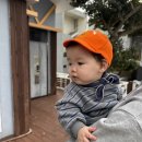 10개월 아기랑 제주도 여행 서귀포 가성비 에어비엔비 감성 숙소 사라보래 후기