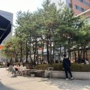 커피기업공덕경의선숲길점 티스토리