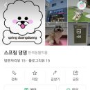 스프링댕댕 이미지