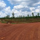 금일농장 이미지