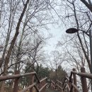 동작충효길 2코스 현충원길 | [자연속으로][동작충효길] 1,2,3코스ᆢ고구동,현충원,한강나들길