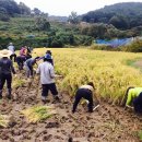 이정인농장 이미지