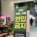 파주 식물원 조인폴리아 첫 방문 후기