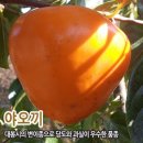 왕대봉 이미지