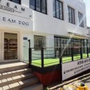 ARTEAM DOG 이미지