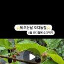 원창농장 이미지