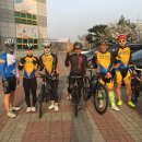 양지-3166 이미지