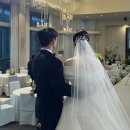 김해123약국 | 신혼여행 일기 (1) / 코사무이 리츠칼튼 후기 (휴양과 요양 사이)