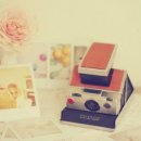 학습심리학 이미지