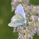 동부주공공인중개사사무소(합동) | 보조원 '불법중개' 꼼짝 마…"부동산 불법중개 제보하면 최대 2억원 포상"