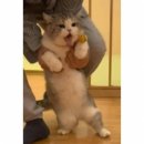 박종훈유도스쿨 이미지
