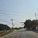 개미골프 연습장 이미지