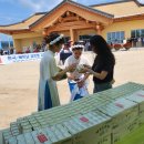 세븐네이쳐 이미지