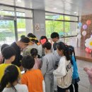 금모래초등학교 이미지