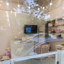 만두네 애견미용실 이미지