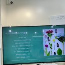 수지 아로마테라피 자격증, 직접 배워보니 너무 좋은 아로마테라피
