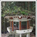 갈대정원 이미지