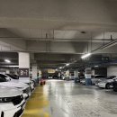 사상구다누림센터 | [원정수영] 사상구 다누림센터, 일요일 자유수영 일일입장