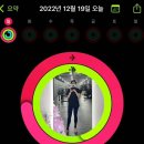 하드캐리짐 이미지