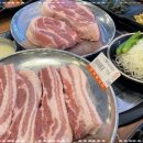 공감식당 이미지