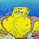 다빈치짐 에르소필라테스 이미지