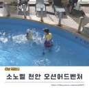 수신창들2교차로 | 소노벨 천안 오션어드벤처 입장권 구매 꿀팁 및 이용 후기