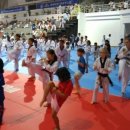 경희대엑스포태권도 이미지