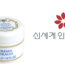신세계인터내셔널(자