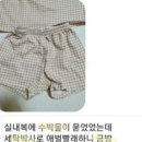 박사세탁 이미지