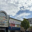 춘천 만두맛집 고기만두,김치만두 ‘호손만두’ 강력추천 내돈내산 후기