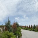 아담목장 이미지