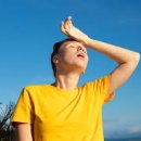 웰빙라이프 이미지