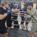 판교스타복싱