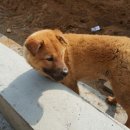 삼서초등학교 이미지